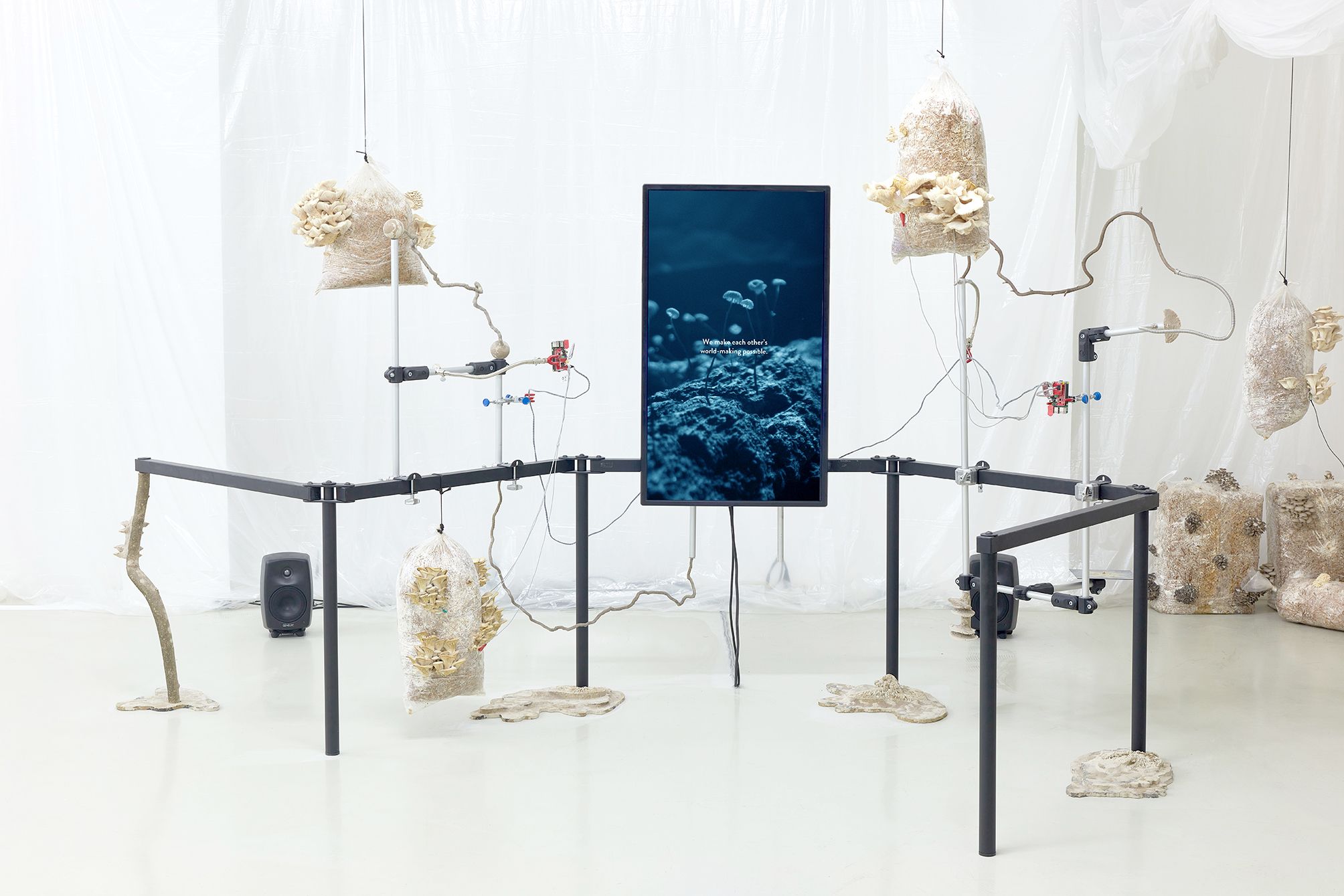 3. Visible Manifestations of Invisible Forces, 2019-2021 © Anca Benera&Arnold Estefan, Photo © David Biro _ Trafo Gallery, Budapest.jpg