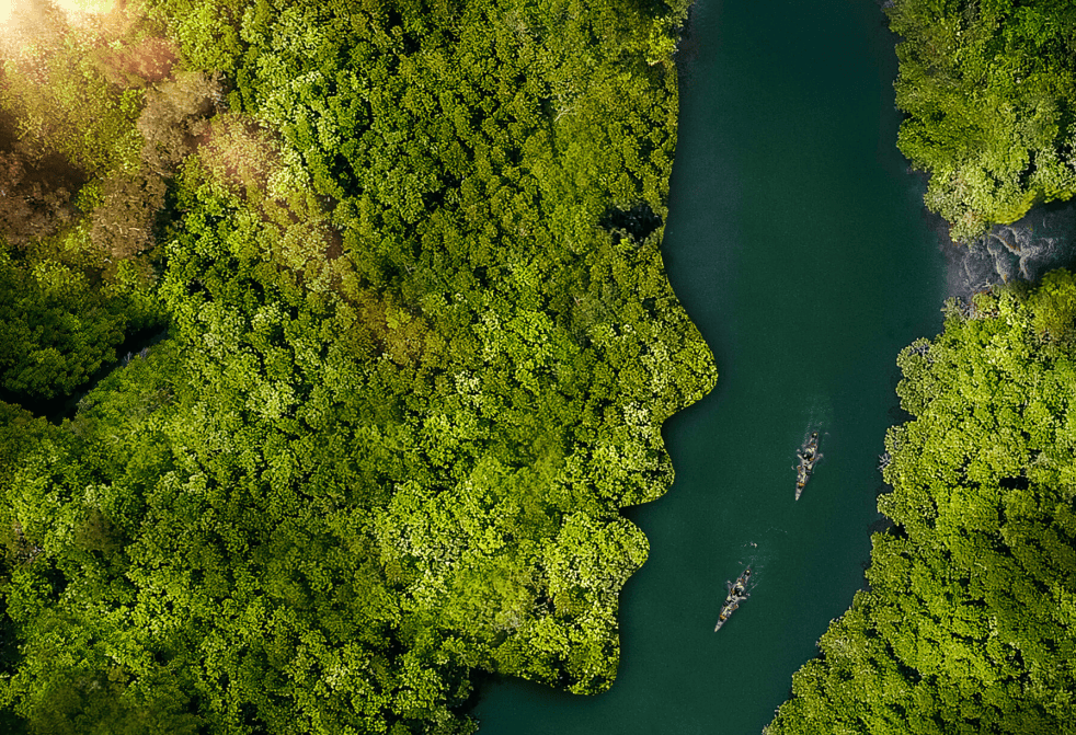 I'm the river the river is me.png