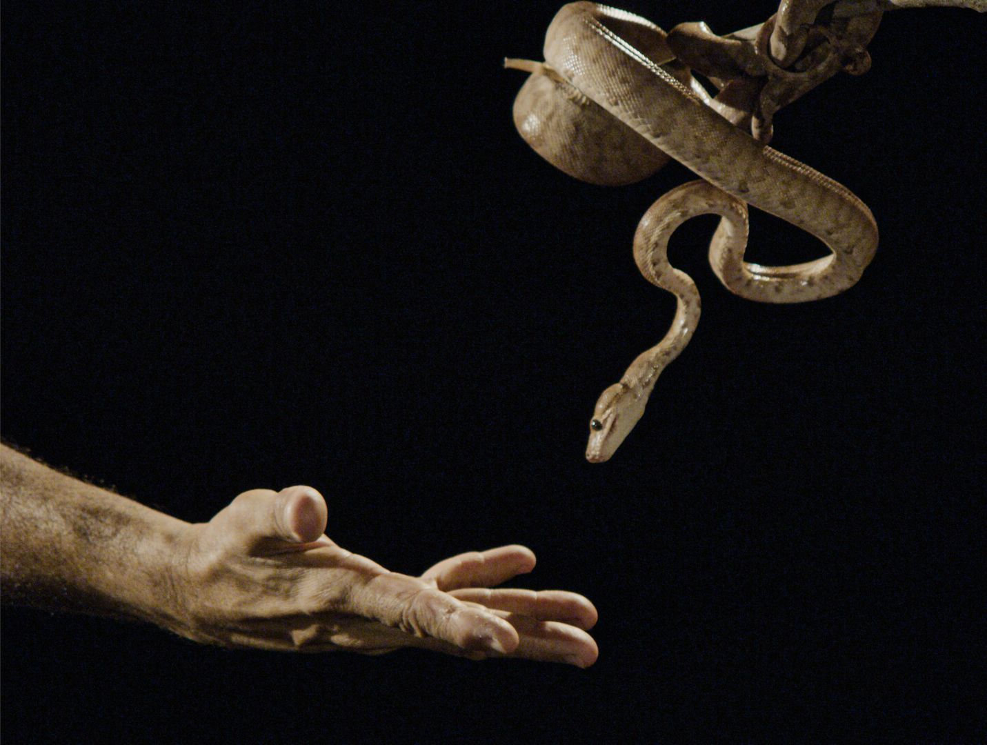 NóNaGarganta(Knot in the throat)_JdA_2022_4.jpg