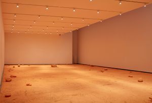 1.carlosbunga_2024_Habitarelcolor_MuseoHelgadeAlvear_photo_JoaquinCortes.jpg